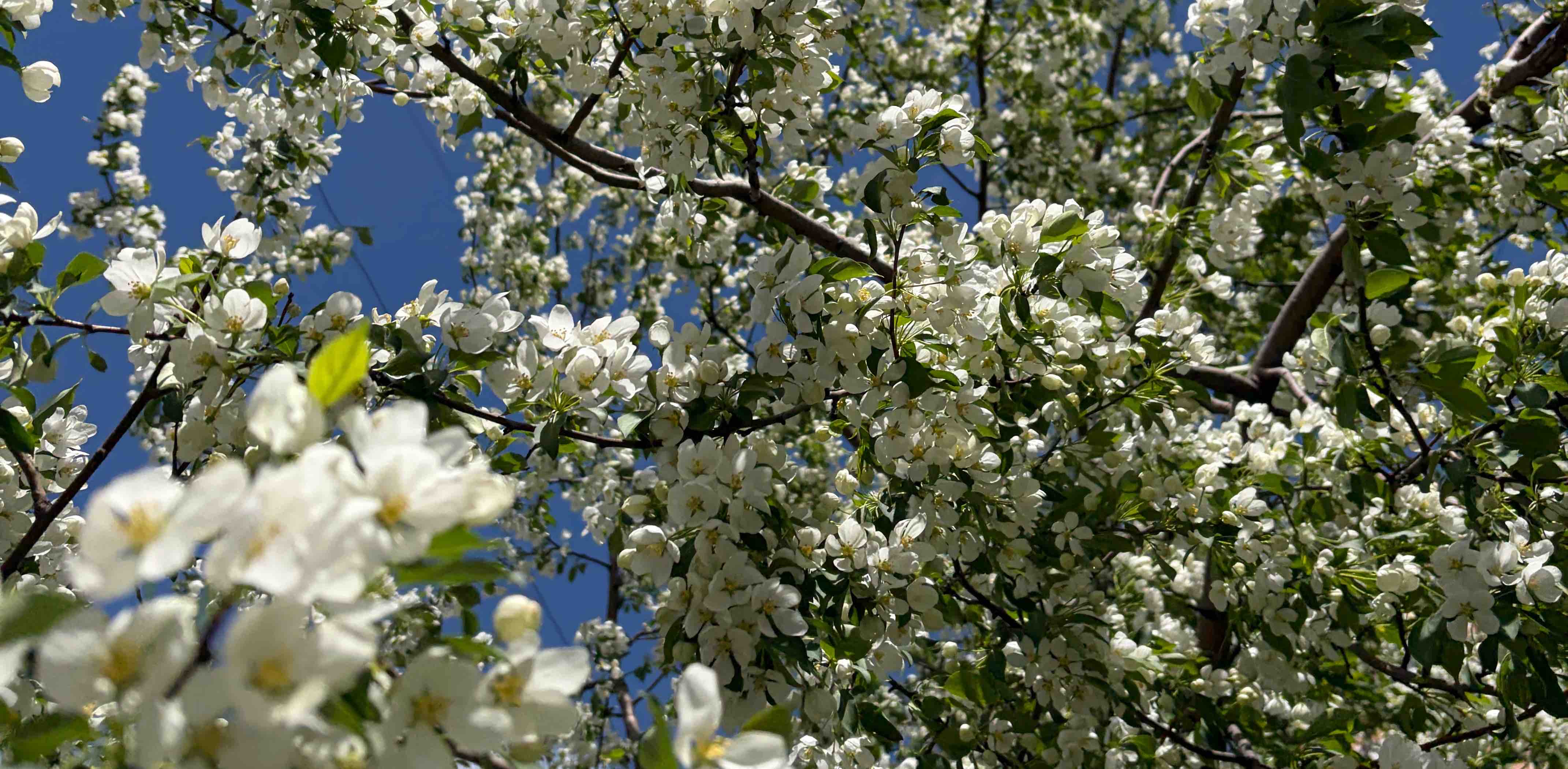 challenge background