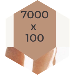 challenge badge