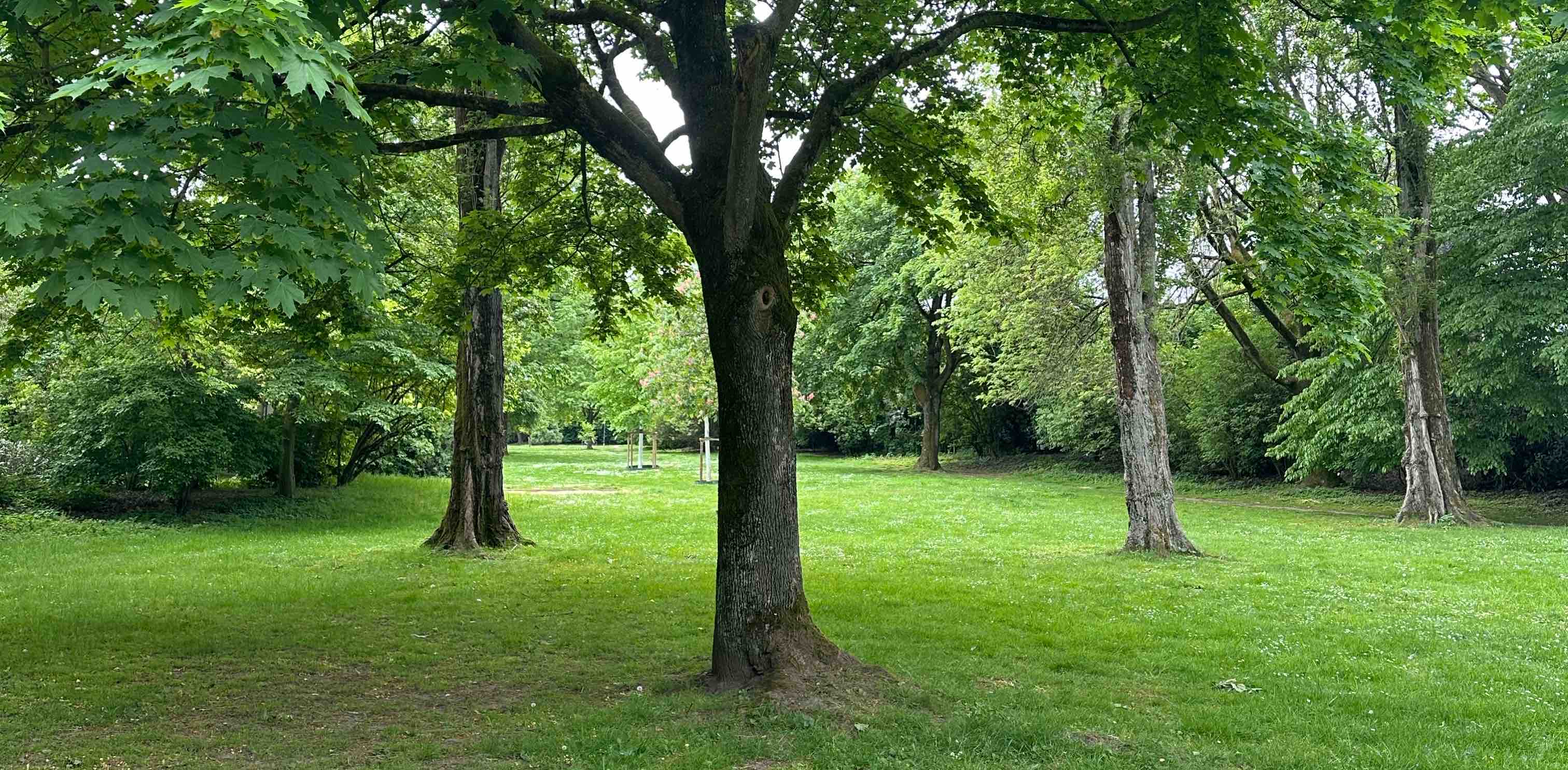 challenge background