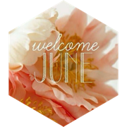 June Distance (20 mile limit) icon