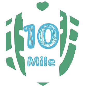 Summer 90 Days- 10 Miles Daily icon