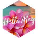 May 15,000 Daily icon