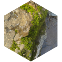challenge badge