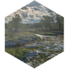 challenge badge