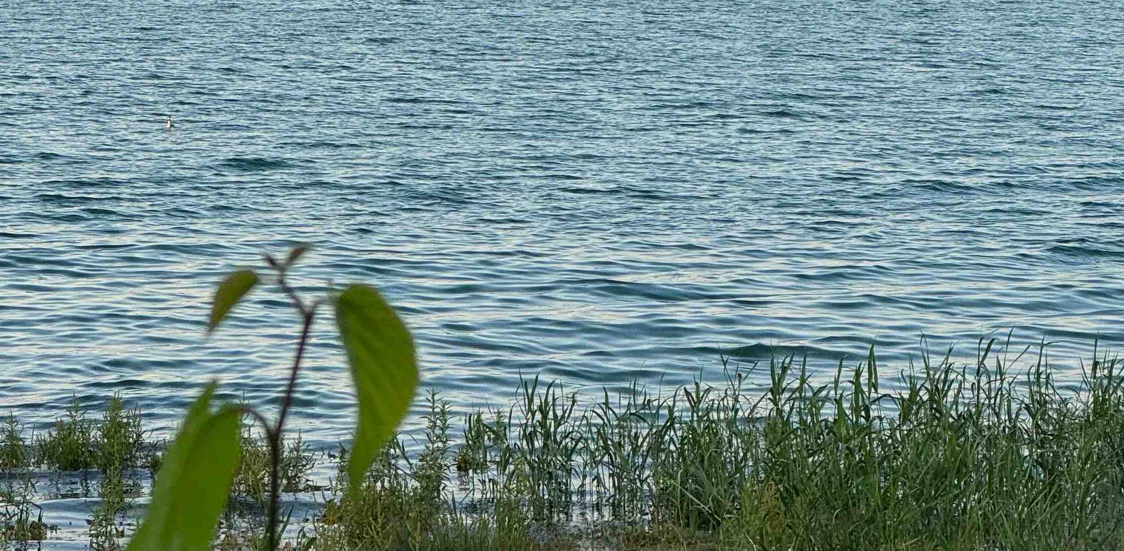 challenge background