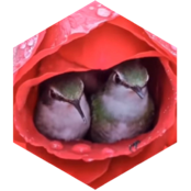 challenge badge