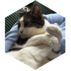 challenge badge