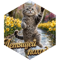 challenge badge