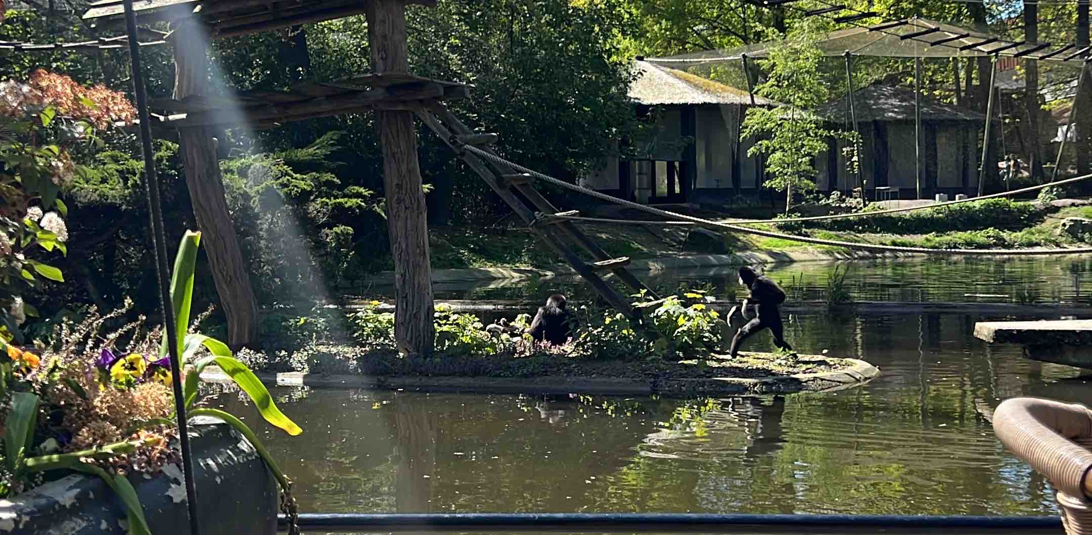 challenge background
