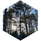 challenge badge