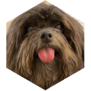 challenge badge
