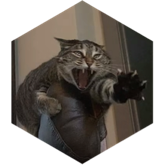 challenge badge