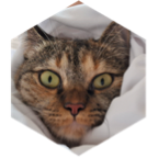 challenge badge