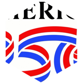 4th of July Daily Step Goal Challenge icon