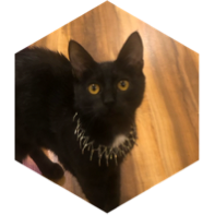 challenge badge