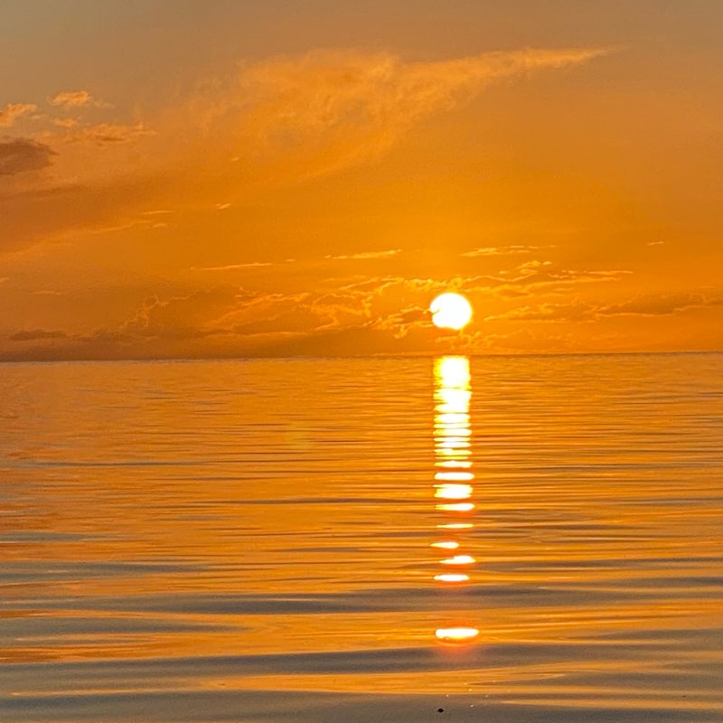 Yorkes Sunset Striders logo