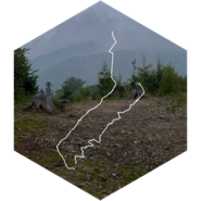 challenge badge