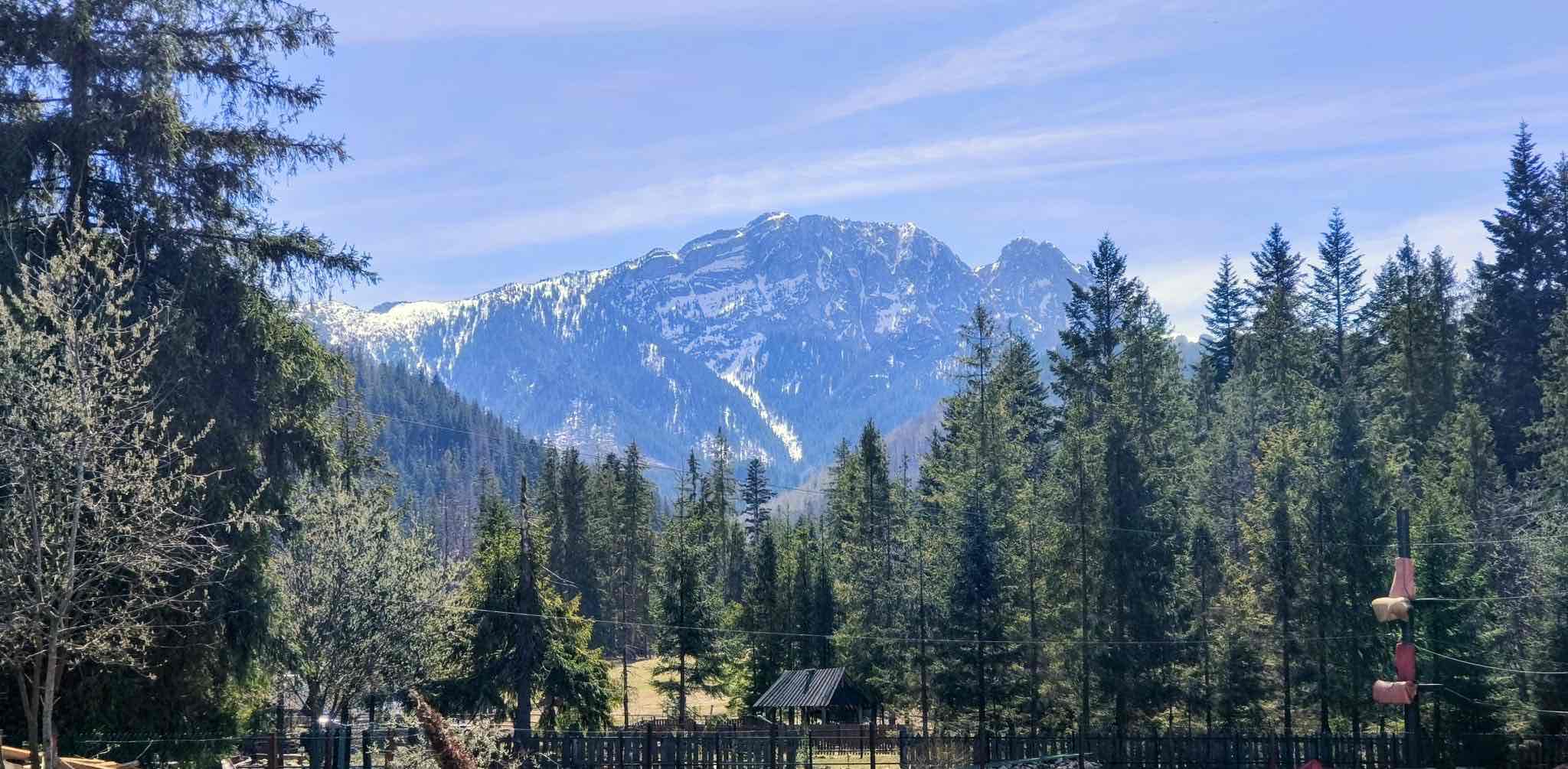challenge background