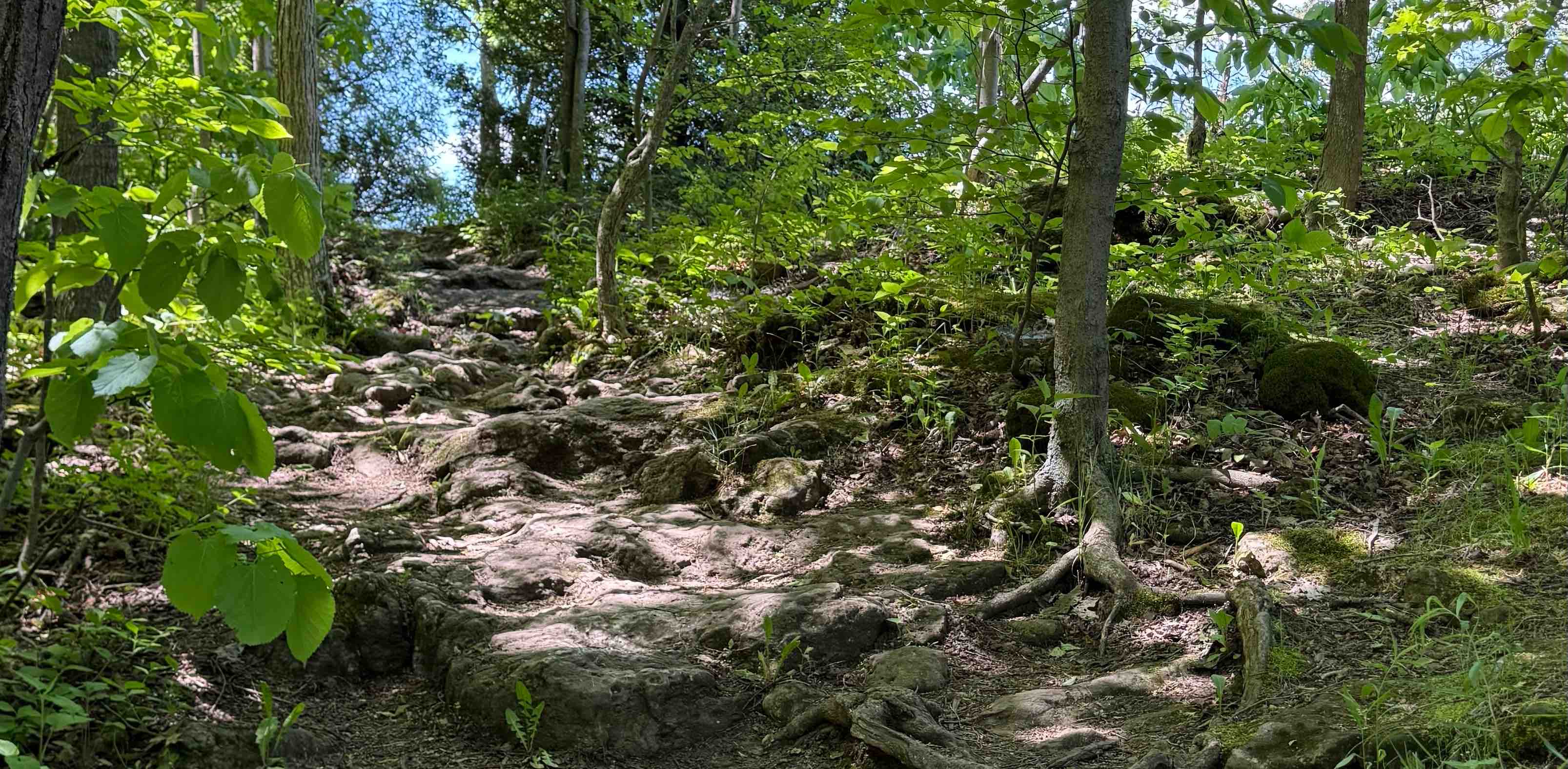 challenge background