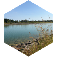 challenge badge