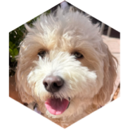 challenge badge