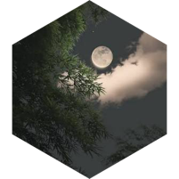 challenge badge