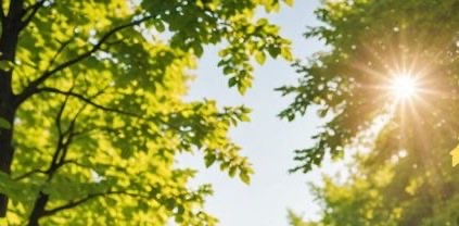 challenge background