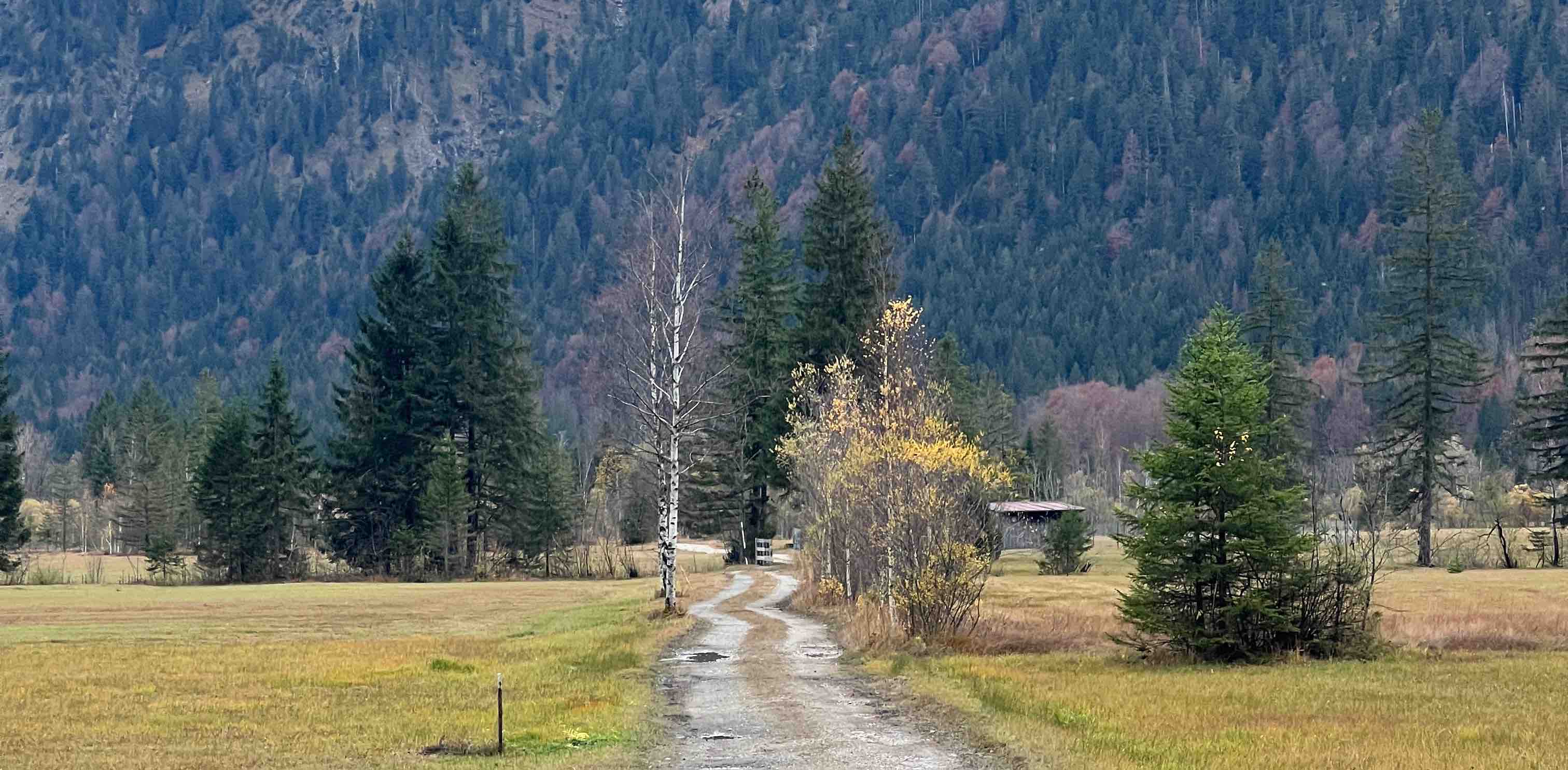 challenge background