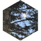 challenge badge