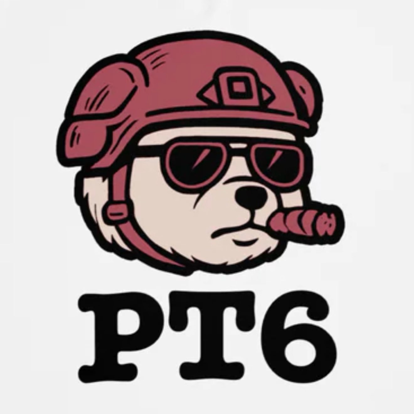PTFit logo