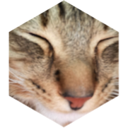 challenge badge