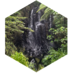 challenge badge