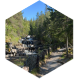 challenge badge