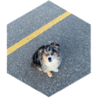 challenge badge