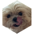 challenge badge