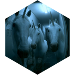 challenge badge