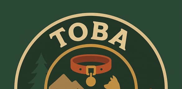 challenge background