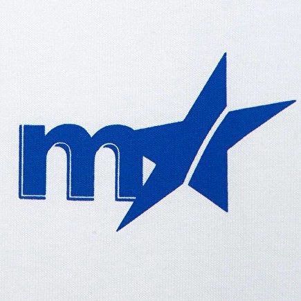 Mavi logo