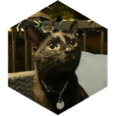 challenge badge
