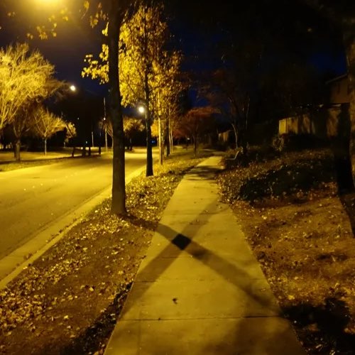 Night Time Walkers logo