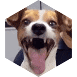 challenge badge