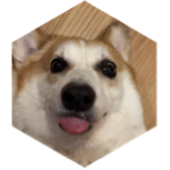 challenge badge