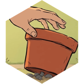 challenge badge