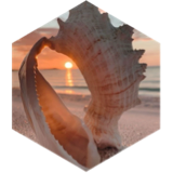 challenge badge