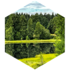 challenge badge