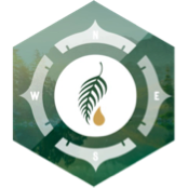 challenge badge