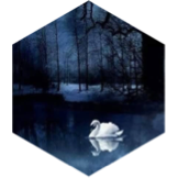 challenge badge