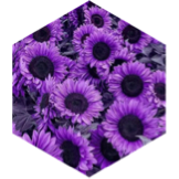 challenge badge