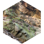 challenge badge