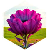 challenge badge